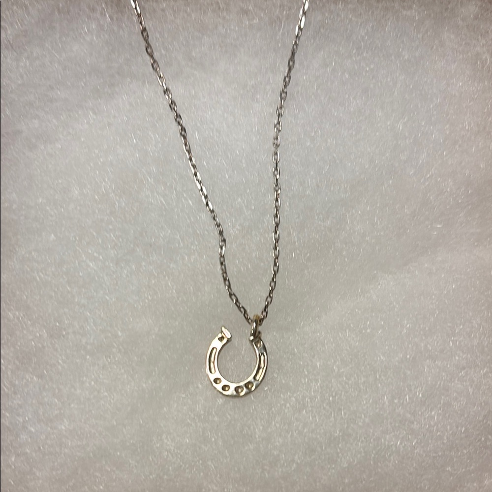 Silver Chain with Horseshoe Charm